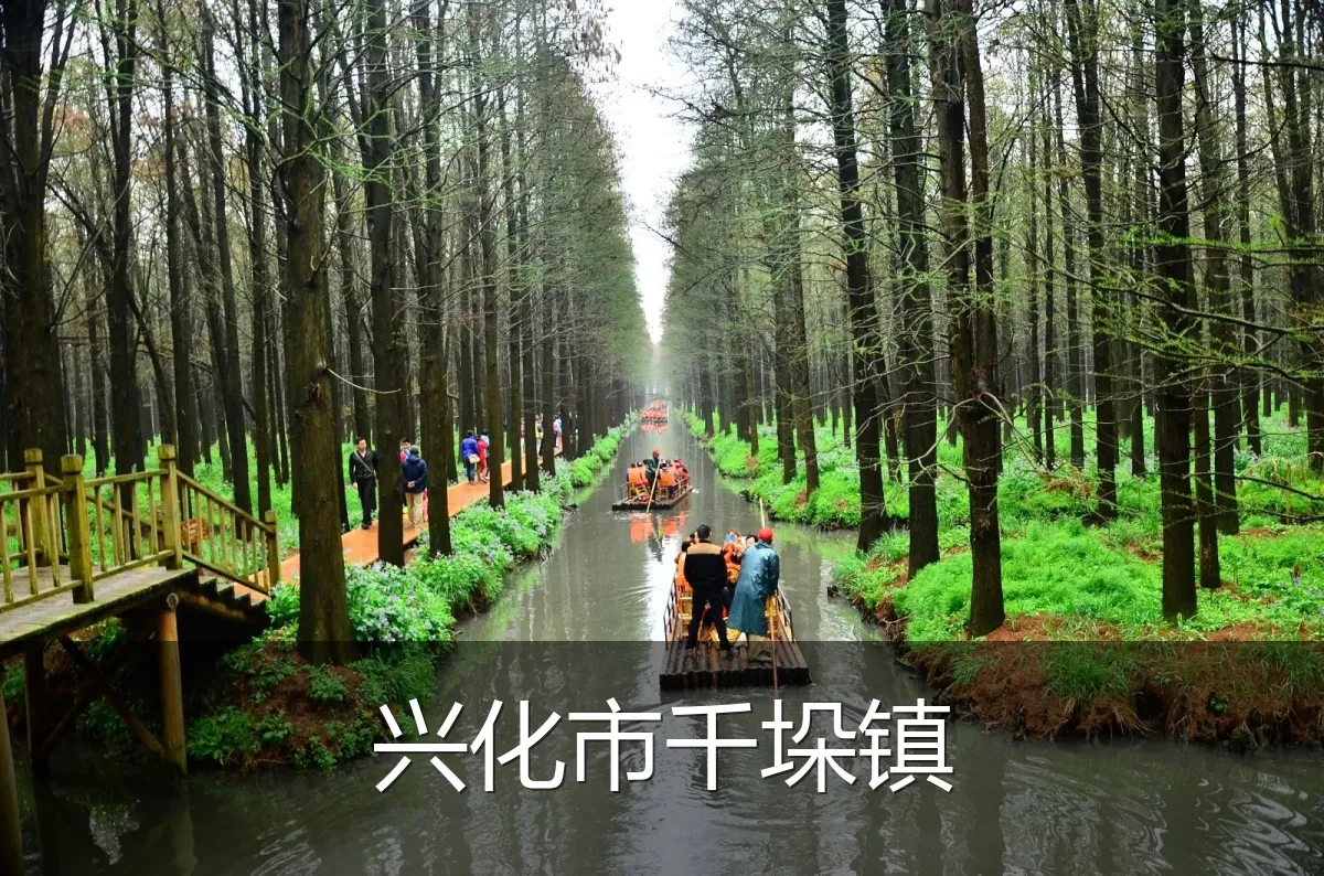 兴化市千垛镇