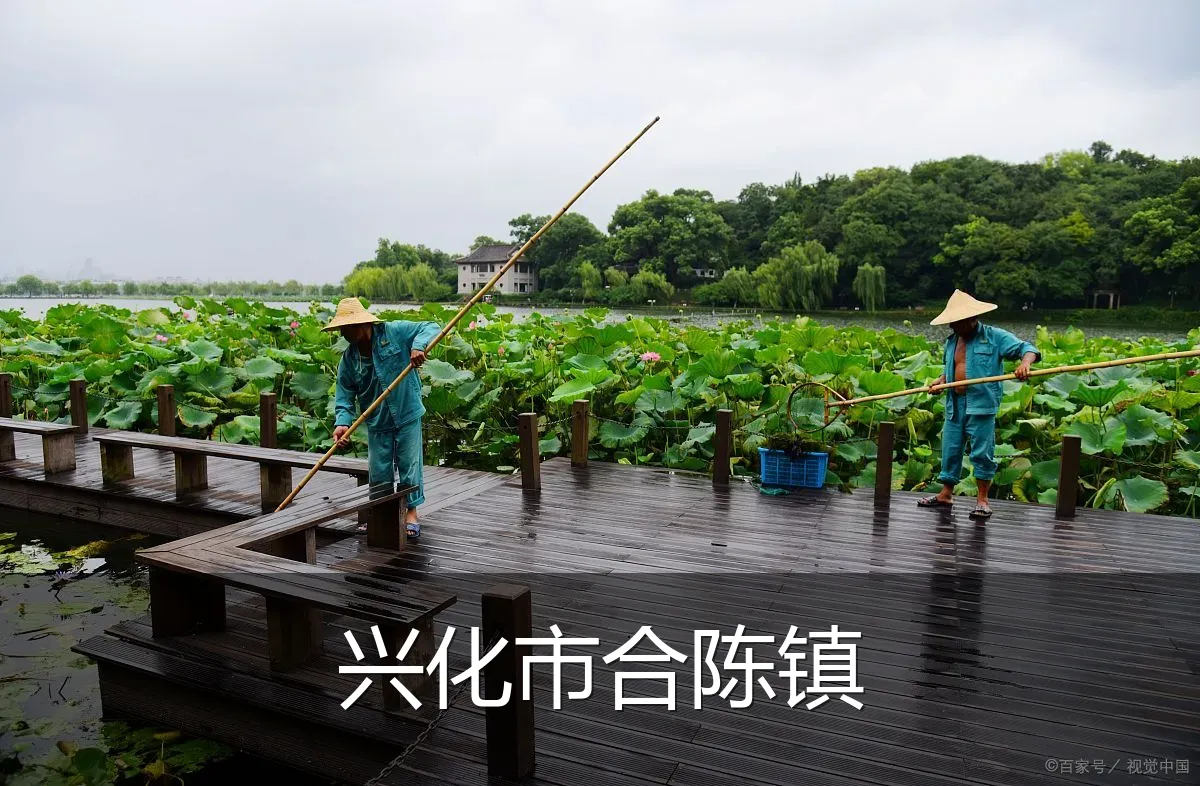 兴化市合陈镇