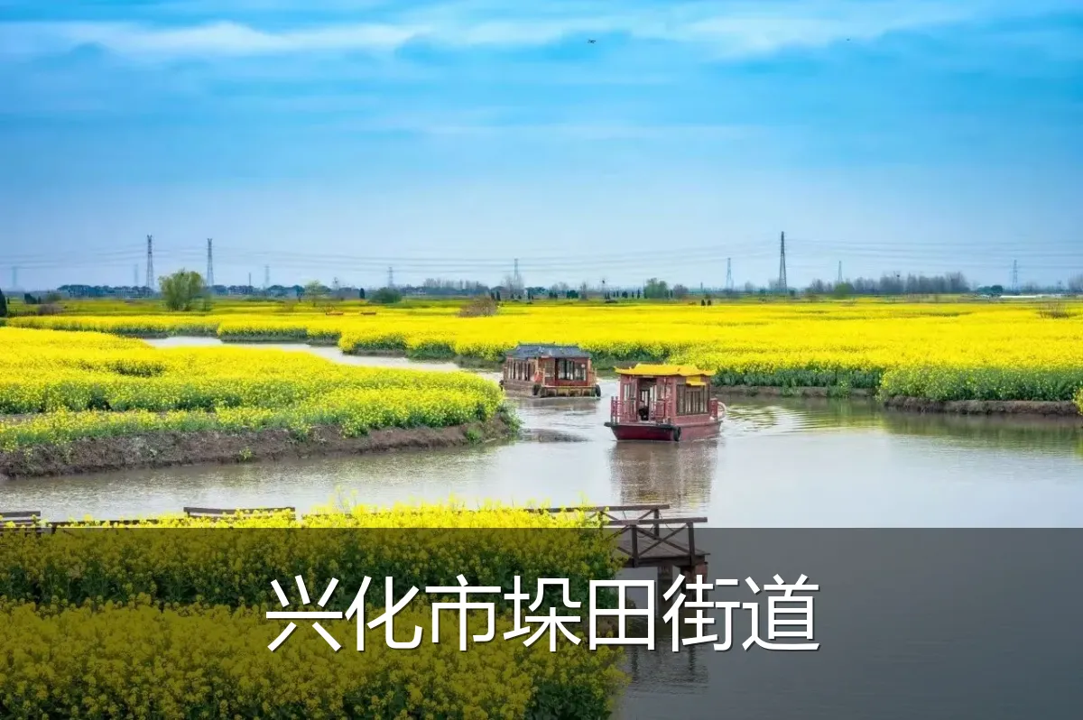 兴化市垛田街道
