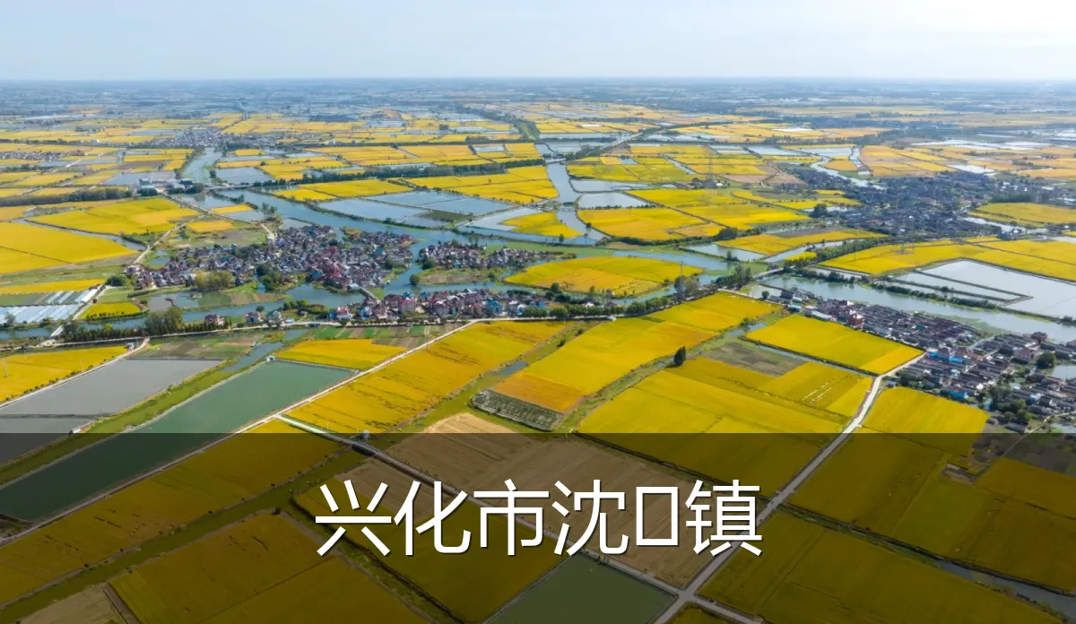 兴化市沈镇
