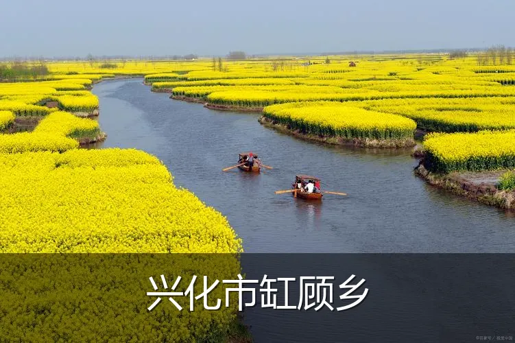 兴化市缸顾乡
